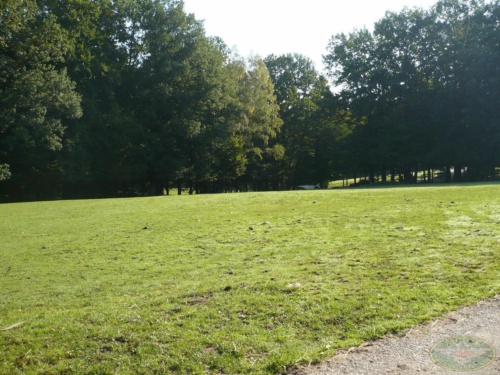 JEC Klub v Safari ZOO Dvůr Králové nad Labem 2010_115