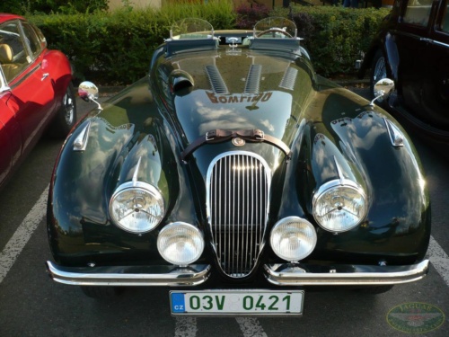 JEC Klub v Safari ZOO Dvůr Králové nad Labem 2010_12