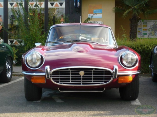 JEC Klub v Safari ZOO Dvůr Králové nad Labem 2010_14