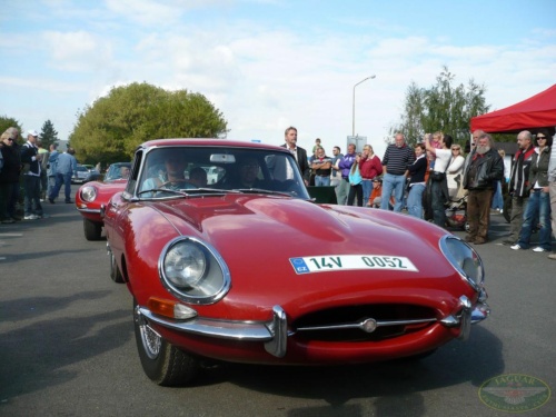 JEC Klub v Safari ZOO Dvůr Králové nad Labem 2010_144