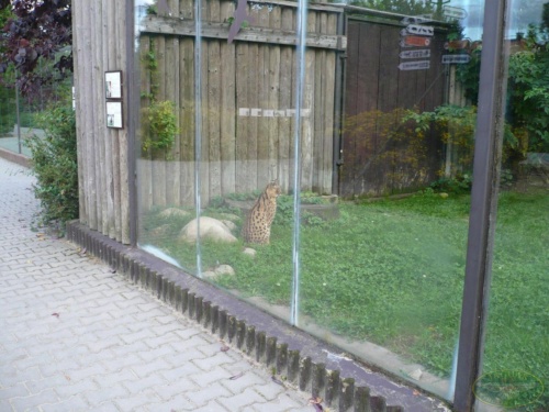 JEC Klub v Safari ZOO Dvůr Králové nad Labem 2010_16