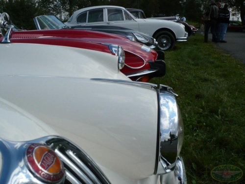 JEC Klub v Safari ZOO Dvůr Králové nad Labem 2010_160