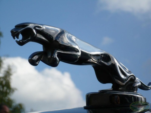 JEC Klub v Safari ZOO Dvůr Králové nad Labem 2010_162