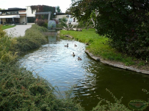 JEC Klub v Safari ZOO Dvůr Králové nad Labem 2010_19