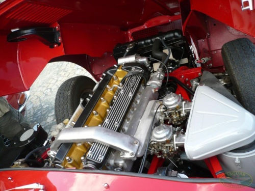 JEC Klub v Safari ZOO Dvůr Králové nad Labem 2010_195