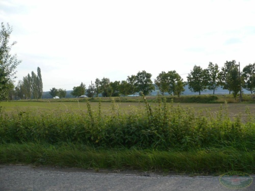 JEC Klub v Safari ZOO Dvůr Králové nad Labem 2010_206