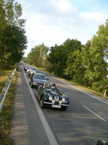 JEC Klub v Safari ZOO Dvůr Králové nad Labem 2010_214