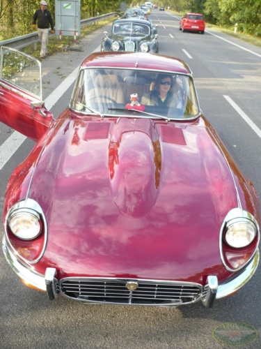 JEC Klub v Safari ZOO Dvůr Králové nad Labem 2010_215