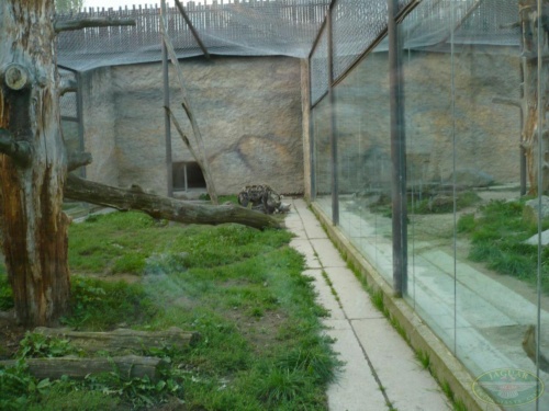 JEC Klub v Safari ZOO Dvůr Králové nad Labem 2010_26