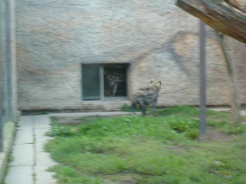 JEC Klub v Safari ZOO Dvůr Králové nad Labem 2010_27