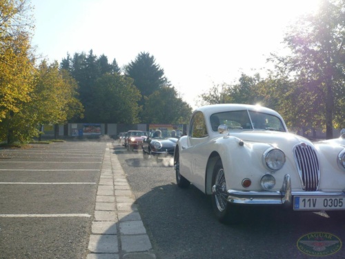 JEC Klub v Safari ZOO Dvůr Králové nad Labem 2010_29