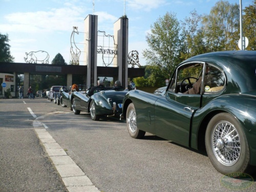 JEC Klub v Safari ZOO Dvůr Králové nad Labem 2010_30