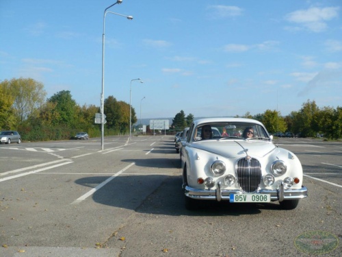 JEC Klub v Safari ZOO Dvůr Králové nad Labem 2010_40