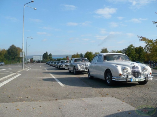 JEC Klub v Safari ZOO Dvůr Králové nad Labem 2010_41