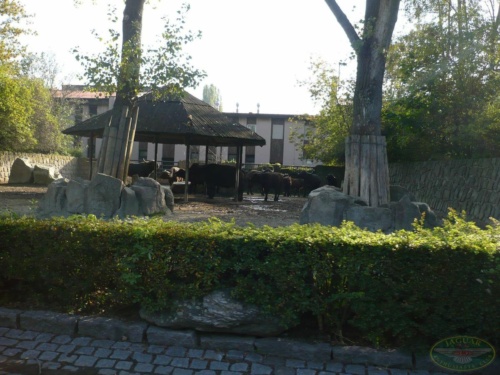 JEC Klub v Safari ZOO Dvůr Králové nad Labem 2010_44