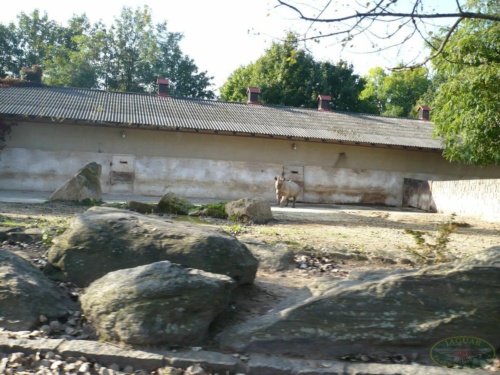 JEC Klub v Safari ZOO Dvůr Králové nad Labem 2010_53