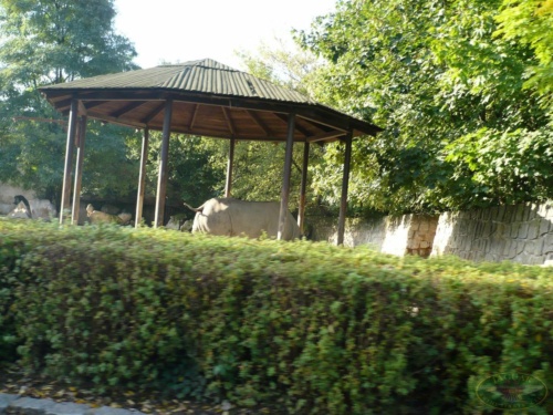 JEC Klub v Safari ZOO Dvůr Králové nad Labem 2010_54