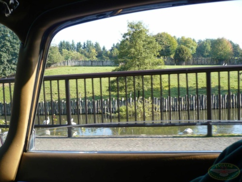 JEC Klub v Safari ZOO Dvůr Králové nad Labem 2010_56