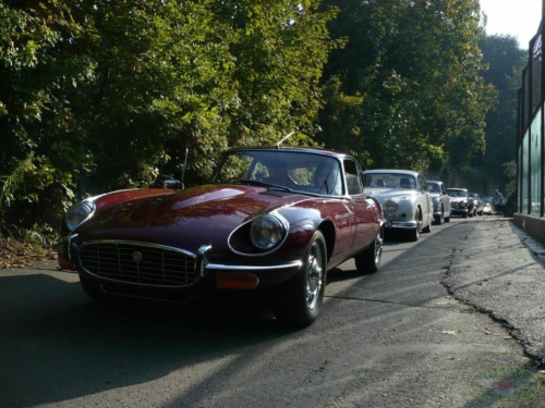 JEC Klub v Safari ZOO Dvůr Králové nad Labem 2010_57