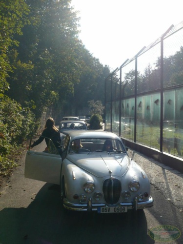 JEC Klub v Safari ZOO Dvůr Králové nad Labem 2010_59