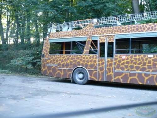 JEC Klub v Safari ZOO Dvůr Králové nad Labem 2010_63