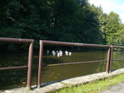 JEC Klub v Safari ZOO Dvůr Králové nad Labem 2010_64