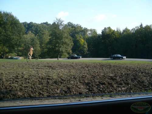 JEC Klub v Safari ZOO Dvůr Králové nad Labem 2010_79