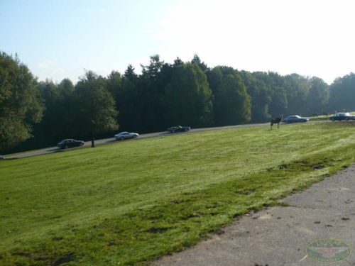 JEC Klub v Safari ZOO Dvůr Králové nad Labem 2010_81