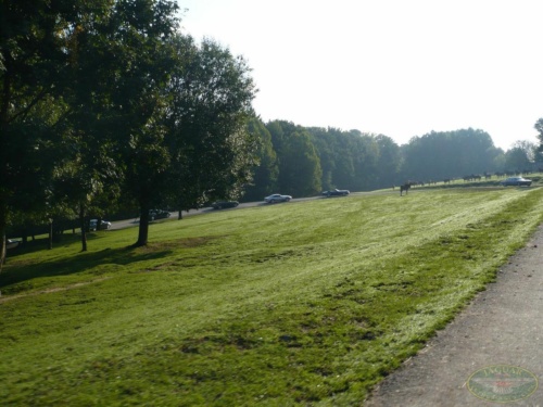 JEC Klub v Safari ZOO Dvůr Králové nad Labem 2010_82