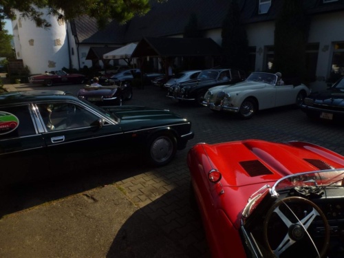 Jaguar Litomerice 2018_02