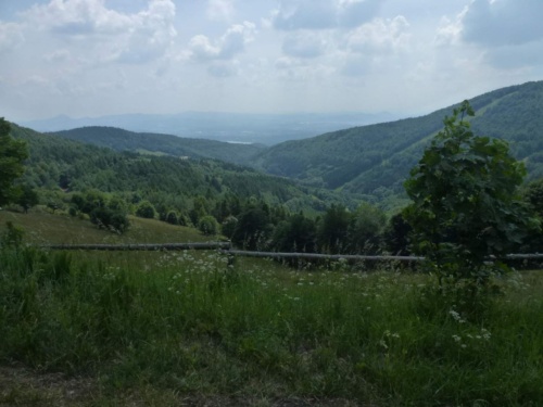 Jaguar Litomerice 2018_07