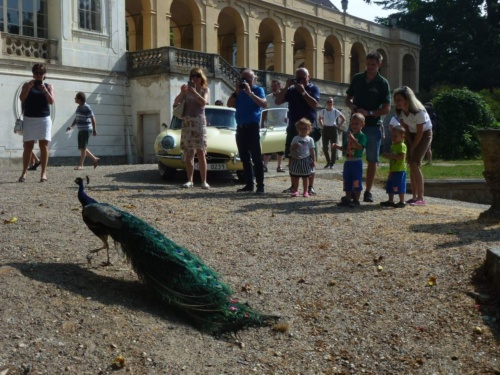 Jaguar Litomerice 2018_62