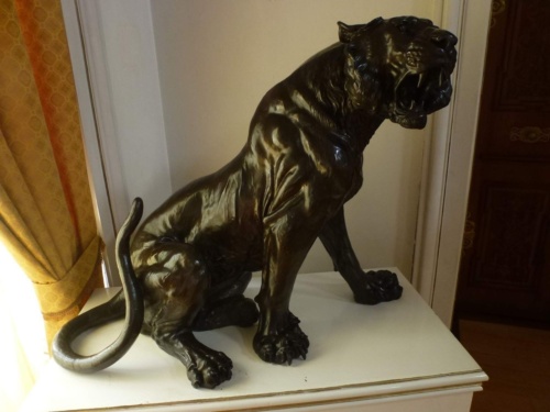 Jaguar Litomerice 2018_97