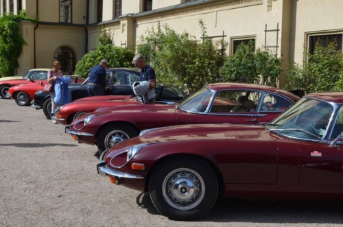 Jaguar-Orlicke-hory-2020-Jiri-Jarkovsky_100