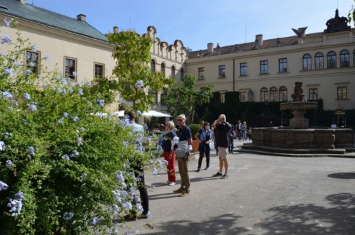 Jaguar-Orlicke-hory-2020-Jiri-Jarkovsky_104