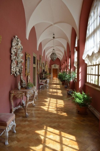 Jaguar-Orlicke-hory-2020-Jiri-Jarkovsky_106