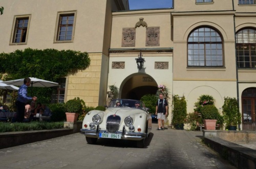 Jaguar-Orlicke-hory-2020-Jiri-Jarkovsky_132