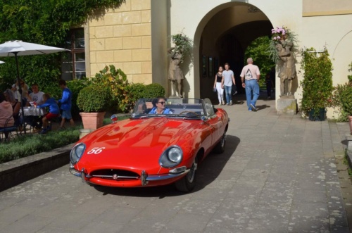 Jaguar-Orlicke-hory-2020-Jiri-Jarkovsky_150