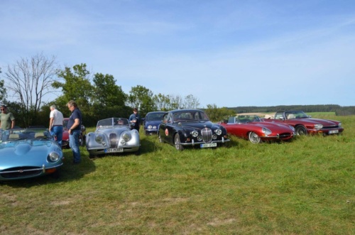 Jaguar-Orlicke-hory-2020-Jiri-Jarkovsky_154