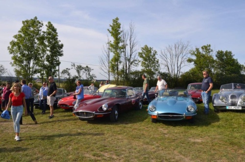 Jaguar-Orlicke-hory-2020-Jiri-Jarkovsky_155