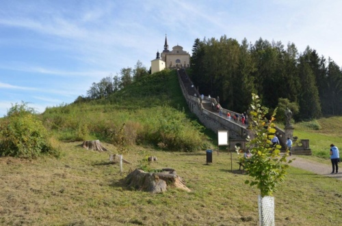 Jaguar-Orlicke-hory-2020-Jiri-Jarkovsky_158