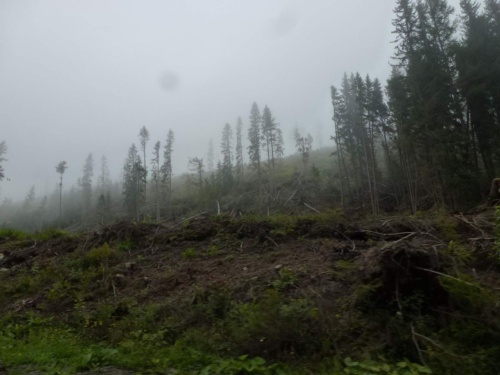 Jaguar Slovakia Tour 2014 II_142