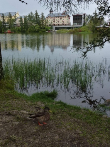 Jaguar Slovakia Tour 2014 II_149