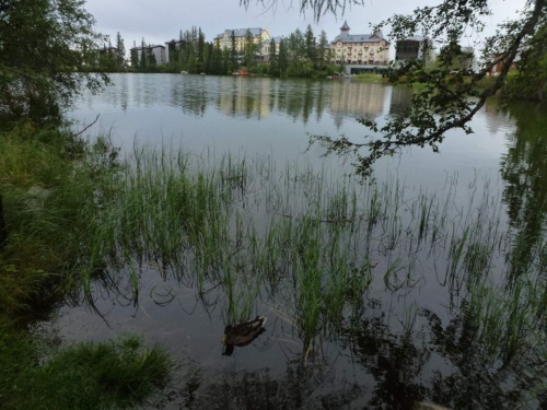 Jaguar Slovakia Tour 2014 II_150