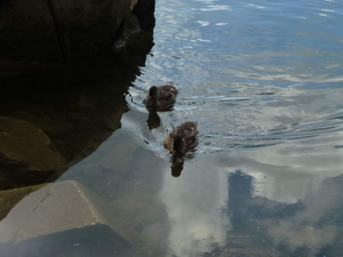 Jaguar Slovakia Tour 2014 II_213