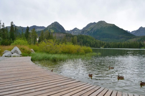 Jaguar Slovakia Tour 2014_43