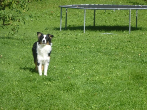 Jaguar Tour Rakousko 2018 II_156