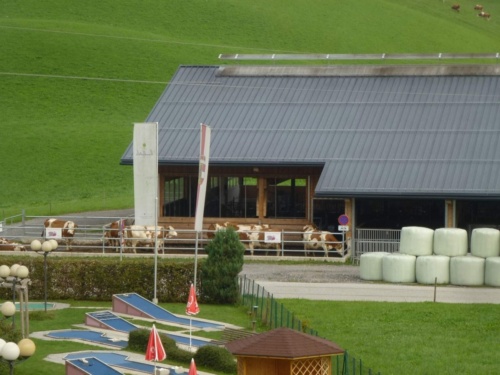 Jaguar Tour Rakousko 2018 II_49