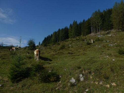 Jaguar Tour Rakousko 2018 II_66