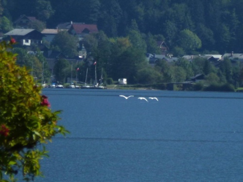 Jaguar Tour Rakousko 2018 II_90